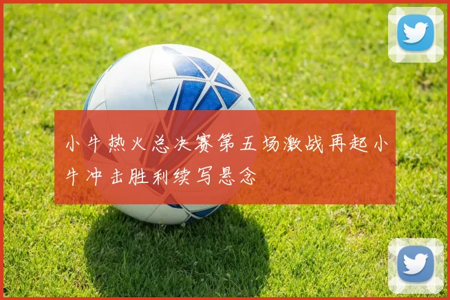 小牛热火总决赛第五场激战再起小牛冲击胜利续写悬念