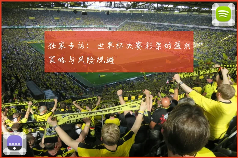 独家专访：世界杯决赛彩票的盈利策略与风险规避