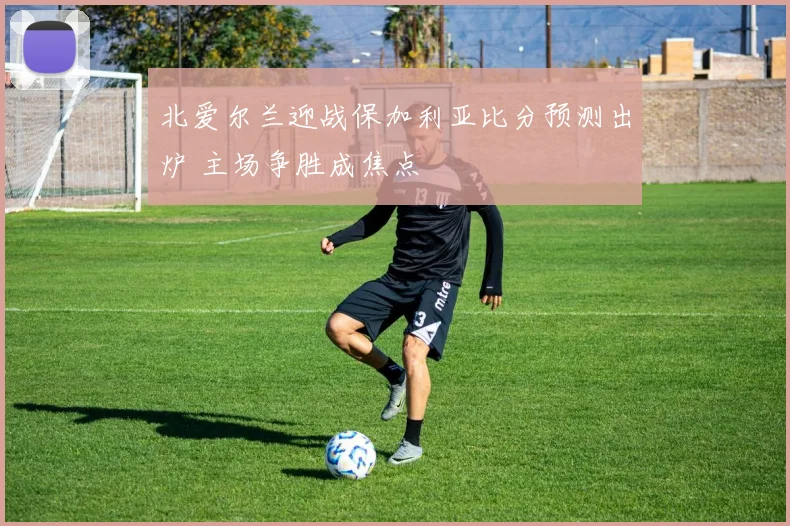 北爱尔兰迎战保加利亚比分预测出炉 主场争胜成焦点