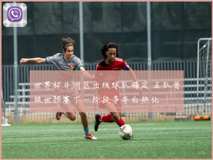 世界杯非洲区出线球队确定 五队晋级世预赛下一阶段争夺白热化