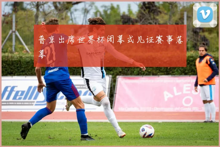 普京出席世界杯闭幕式见证赛事落幕