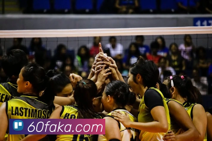 ayx.cn登录入口发展历程